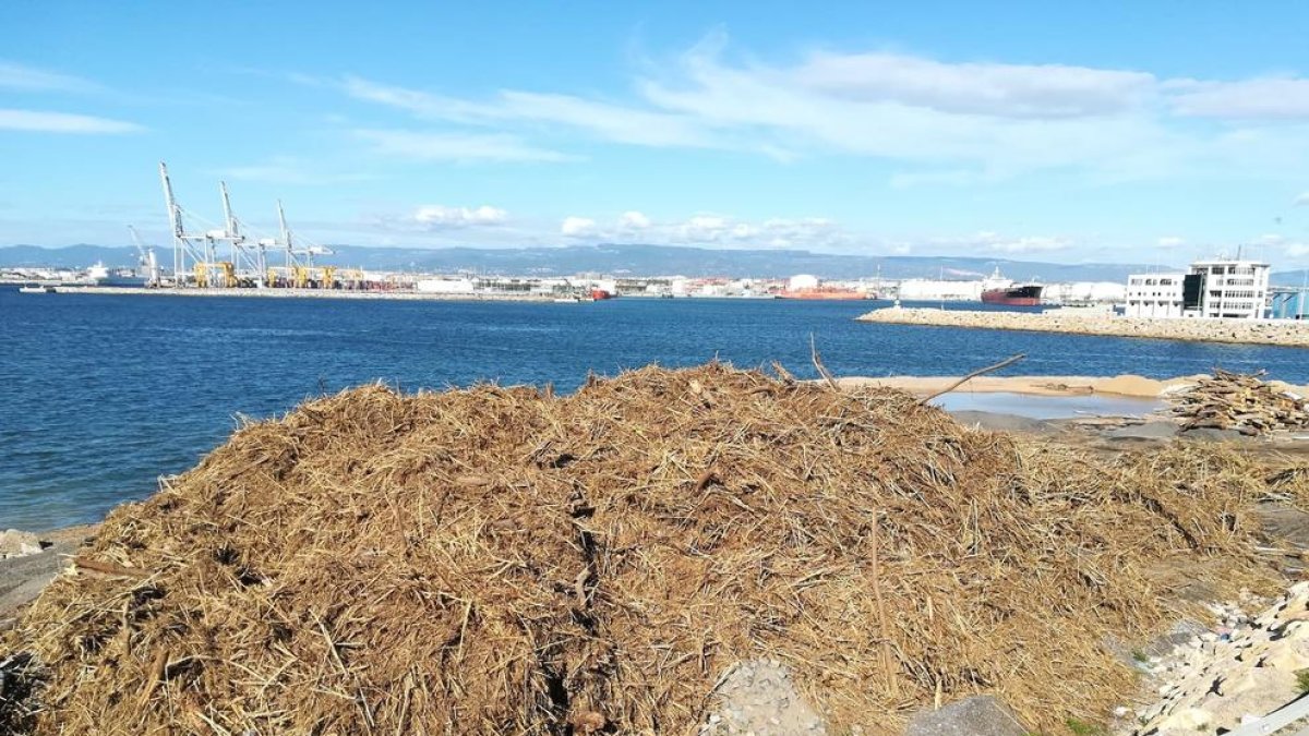 La riada dejó dentro del puerto de Tarragona el equivalente a 850 camiones de cañas y árboles