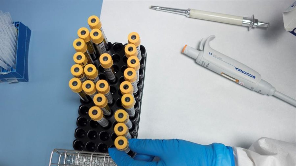 fàrmac, investigació, coronavirus, mostres, laboratori, medicament