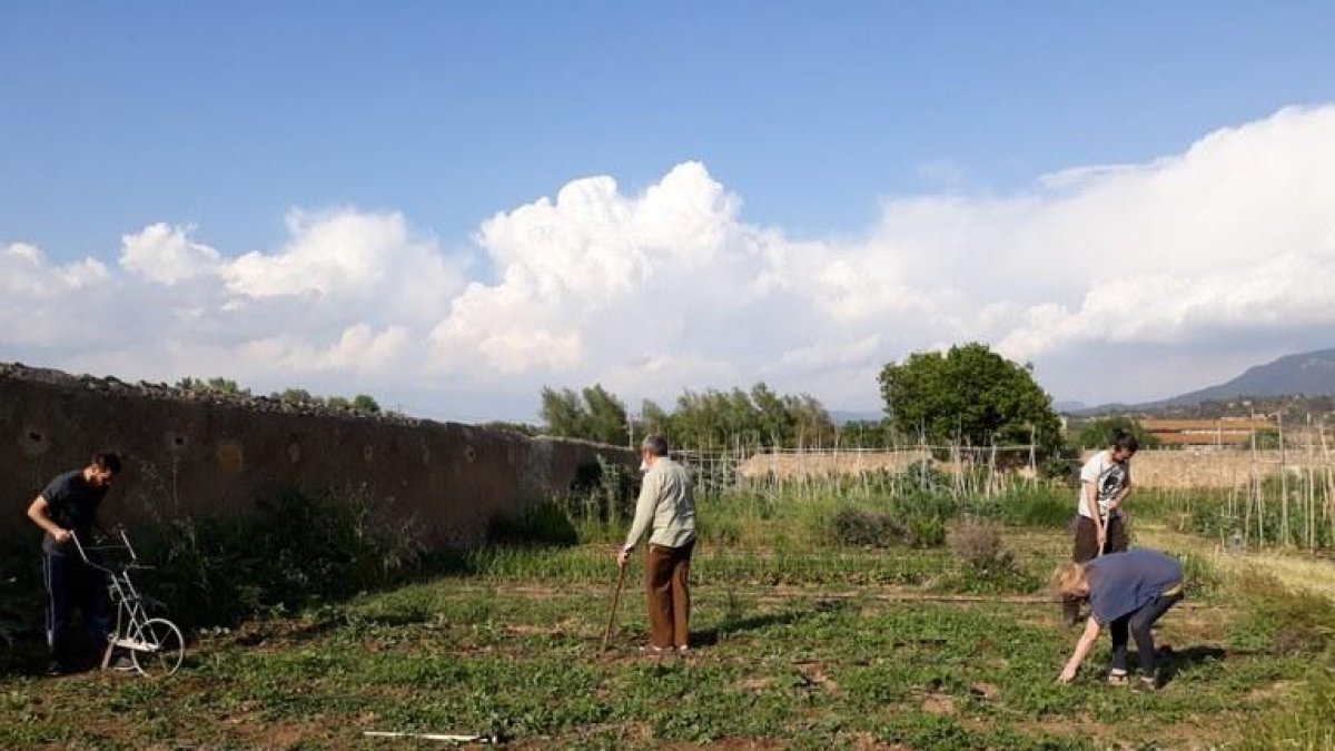 Montblanc licita el arrendamiento de parcelas de huertos sociales y ecológicos