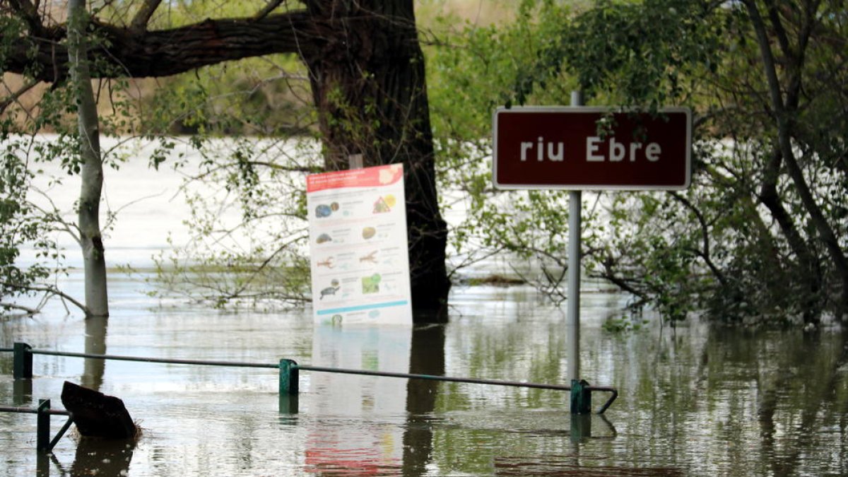 La crescuda del riu Ebre provoca les primeres inundacions prop de Saragossa