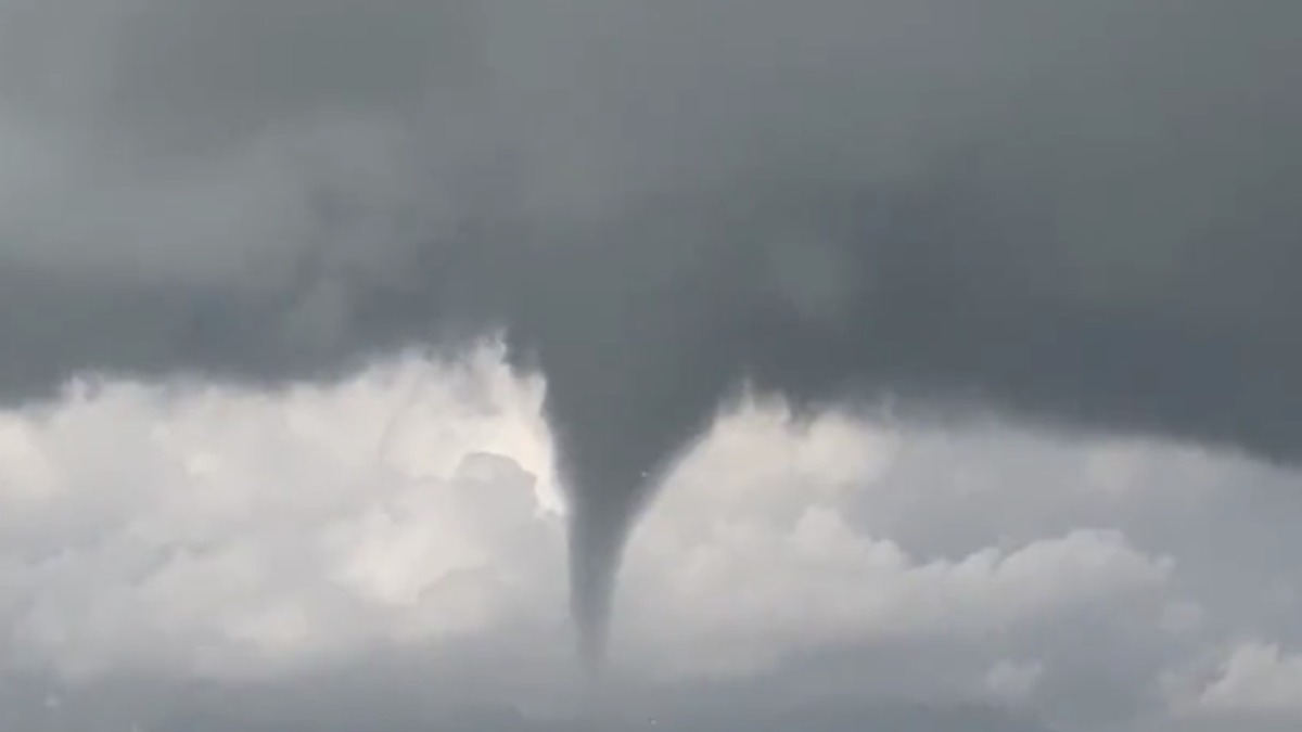 Una impresionante tuba aparece cerca de los Muntells