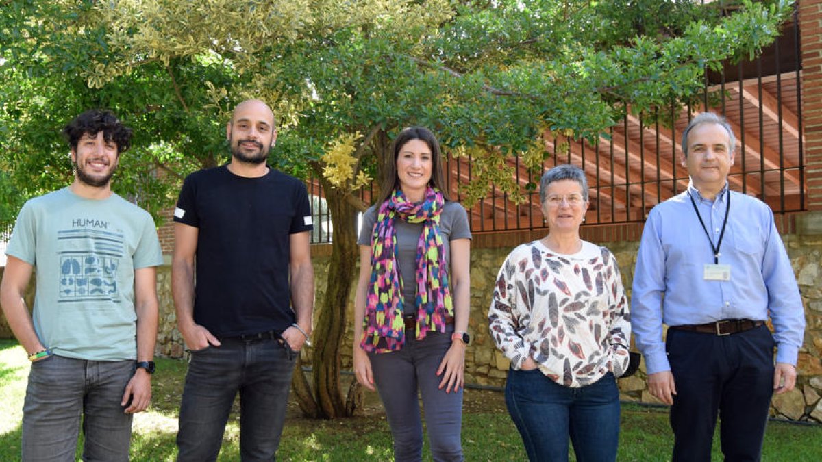 Un estudio tarraconense establece que las experiencias adversas en la niñez se asocian a la bipolaridad