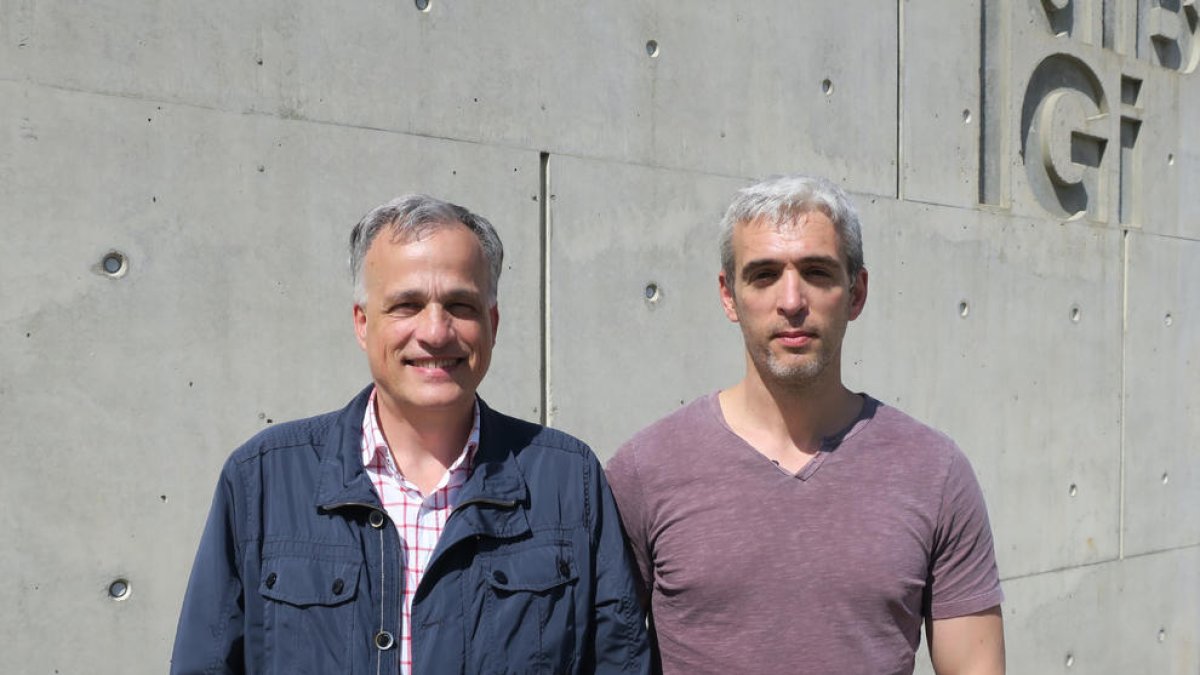 Confirman científicamente la relación de la depresión con un aminoácido presente en muchos alimentos