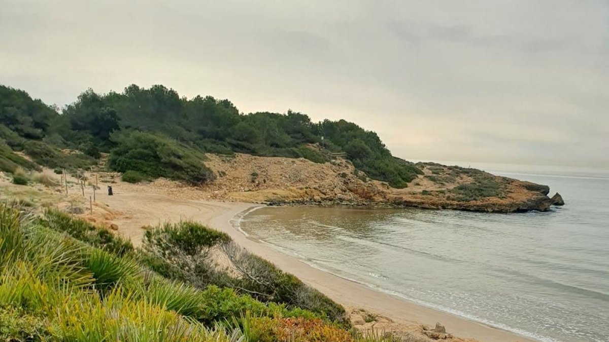 La Asociación Aurora organiza diferentes actividades para conocer la Savinosa