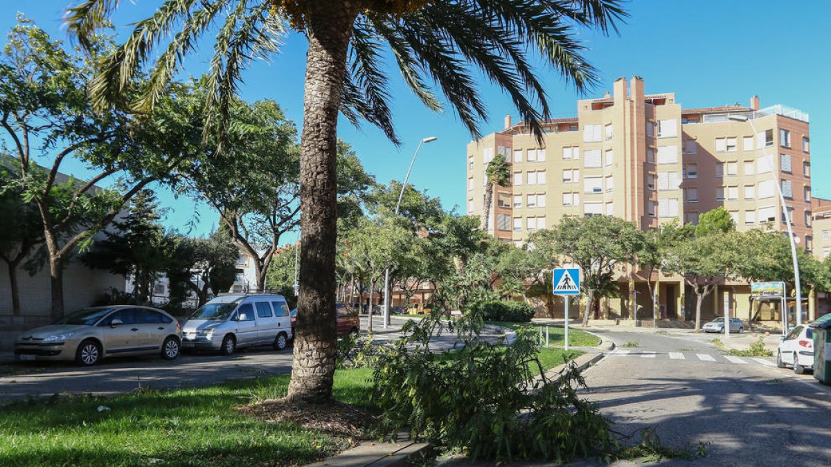 Los Bomberos realizan media docena de salidas a causa del viento