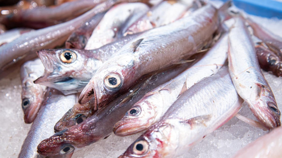 Agotadas las plazas para la exhibición de cocina de pescado de Tarragona en el Mercat Central