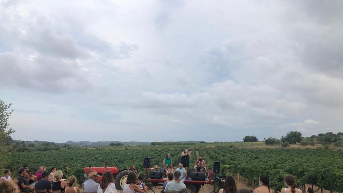 Torna el 'Cantaperdius' a peu de vinya