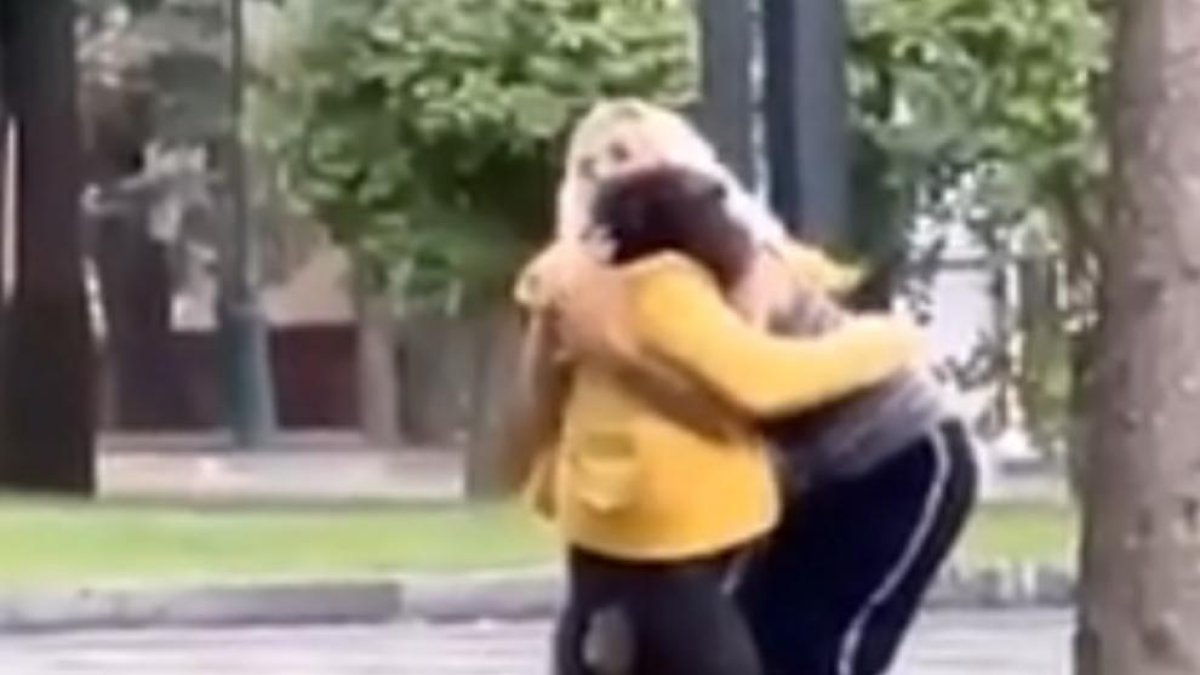 Chichi, el chimpancé que escapó de un zoo ucraniano para finalmente regresar en bicicleta