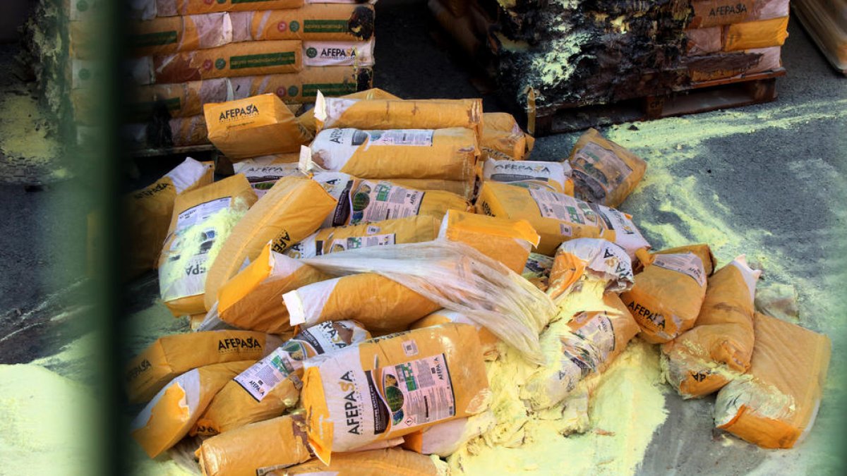 El Govern defensa que els tempos d'activació del Plaseqta per l'incendi de Constantí