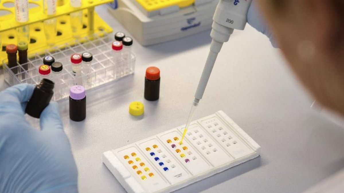 Crean una nanopartícula que se introduce en las células cancerosas y las elimina selectivamente