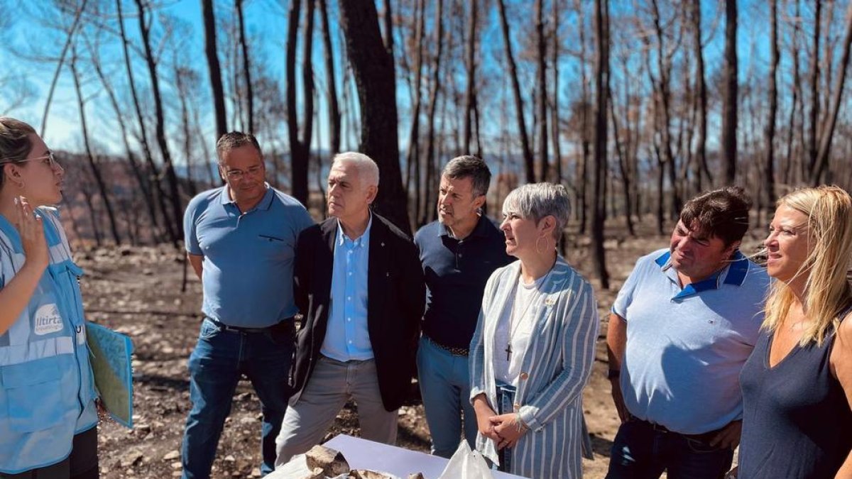 El Memorial Democrático recupera un centenar de huesos|osos de soldados en la zona quemada de Corbera d'Ebre