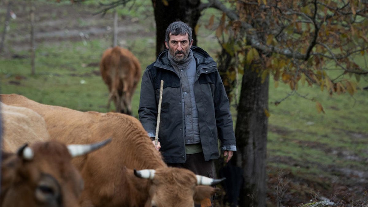 Rodrigo Sorogoyen estrena als cinemes l'esperada 'As bestas'