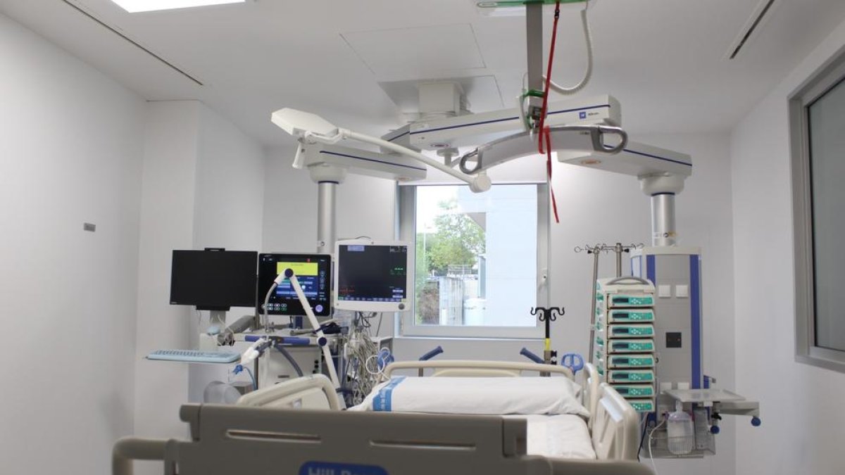 El Joan XXIII col·labora amb el MIT per potenciar l'anàlisi de dades