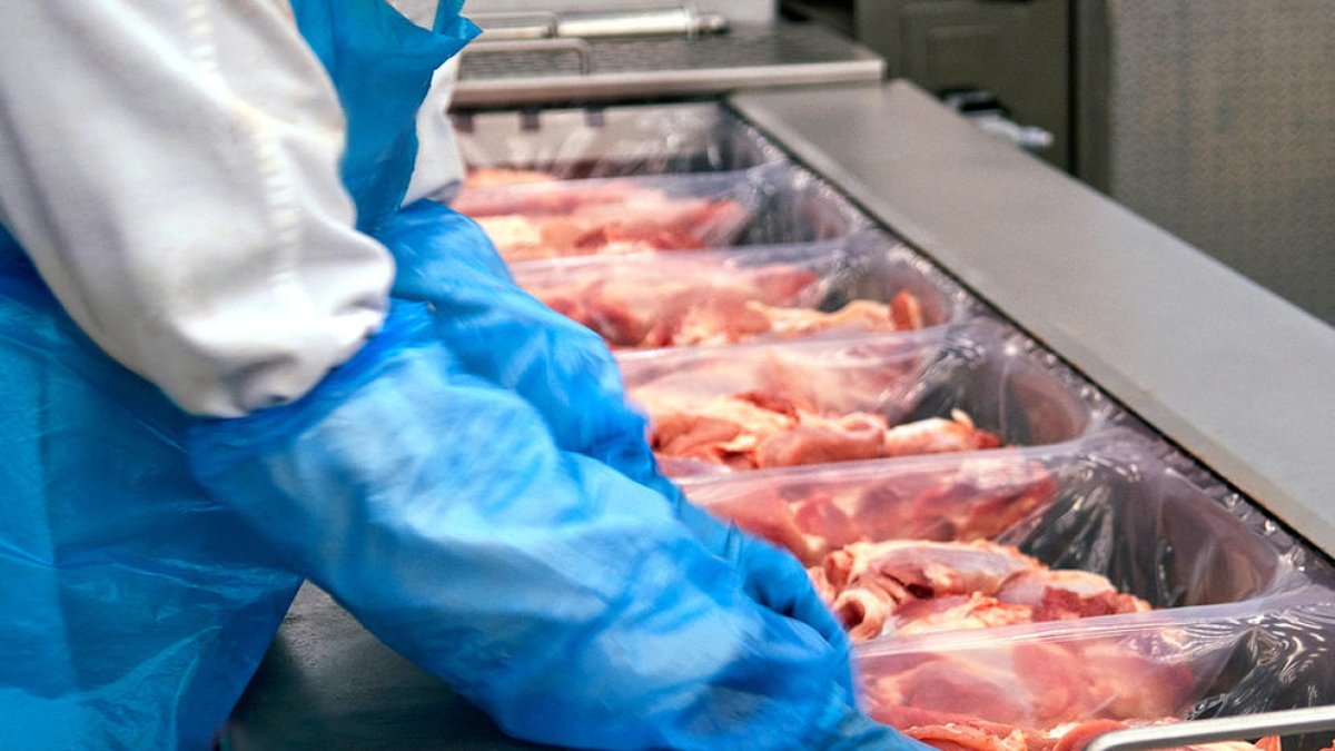 El bloqueo de los puertos chinos por el covid-19 provoca la parálisis de miles de kilos de carne de empresas catalanas