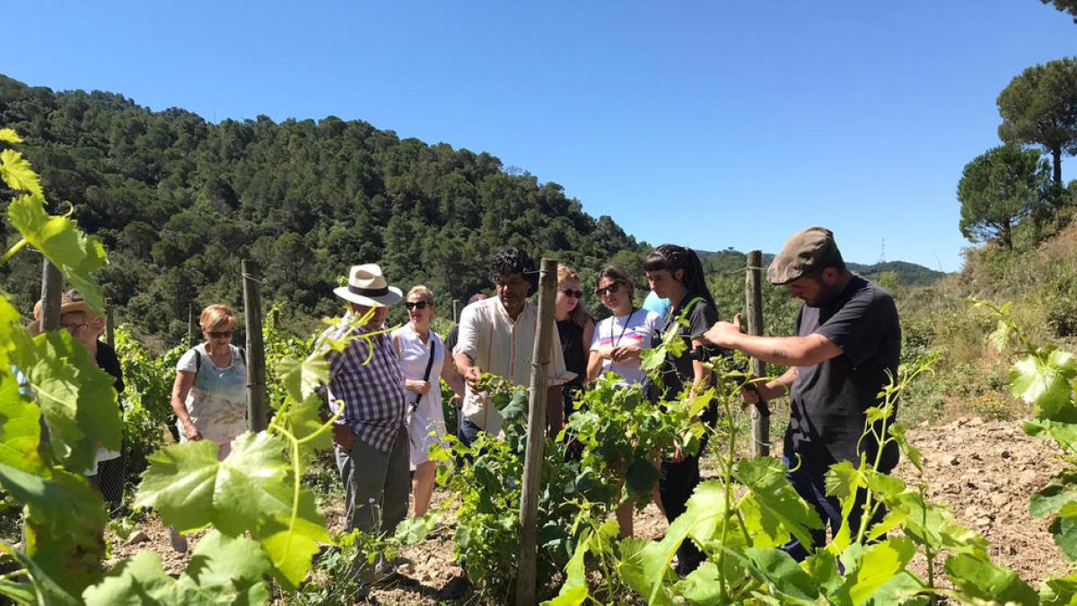 La DO Tarragona ultima la creación de una ruta para potenciar sus vinos y el enoturismo