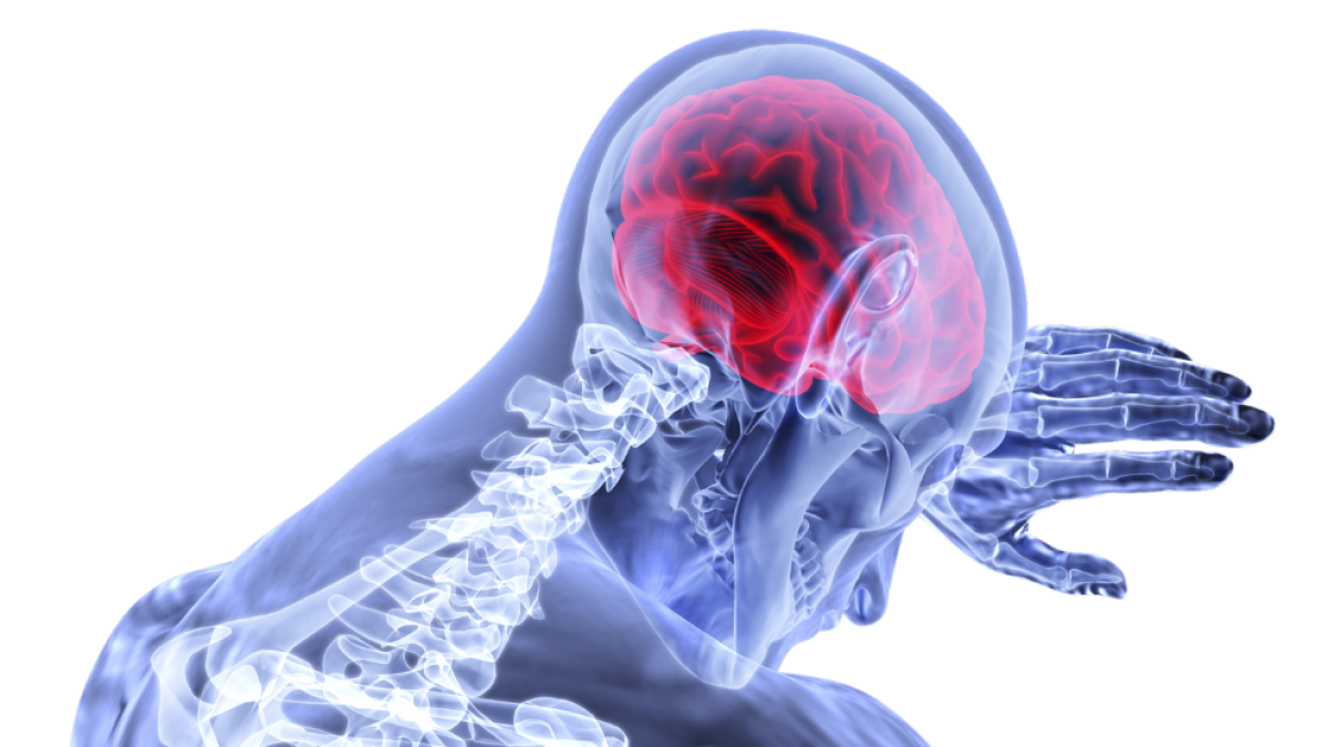 Nuestro cerebro se da cuenta de que estamos muertos: sigue activo unos minutos después de la defunción