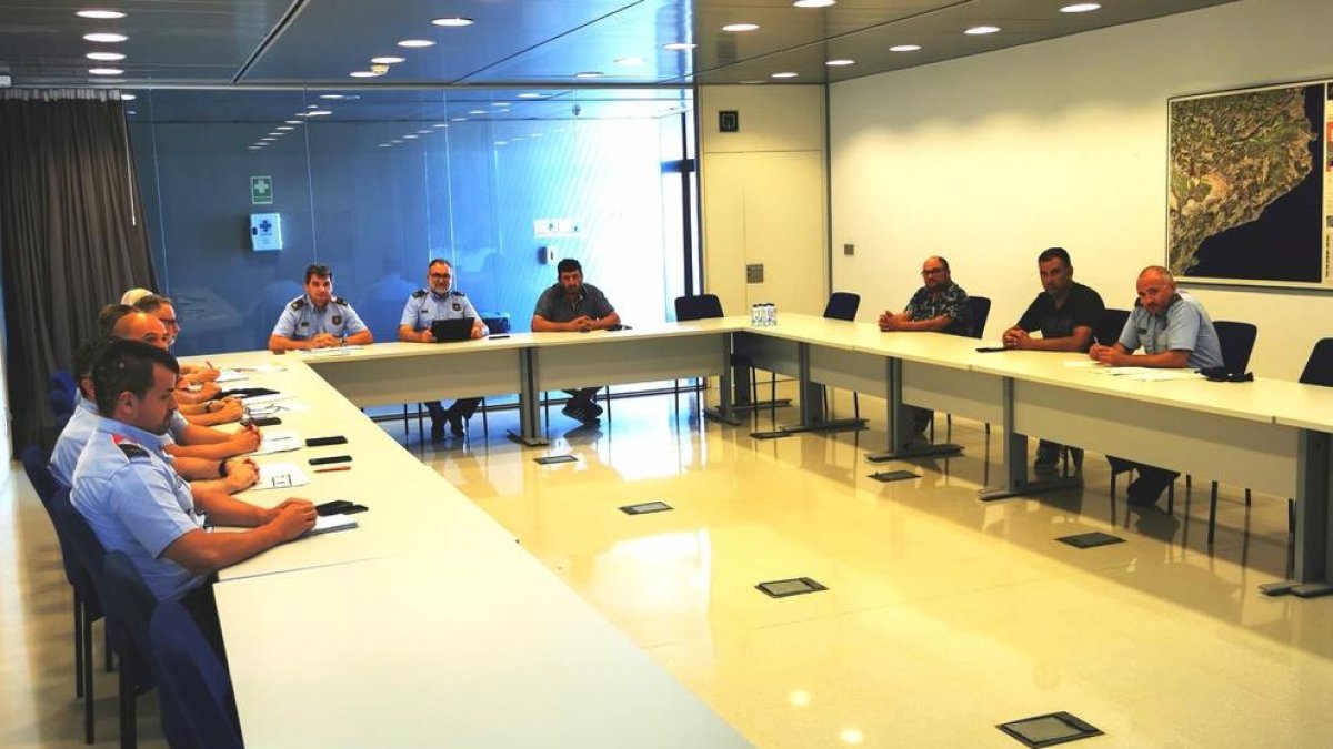 Unión de Campesinos alerta del aumento de robos de algarroba