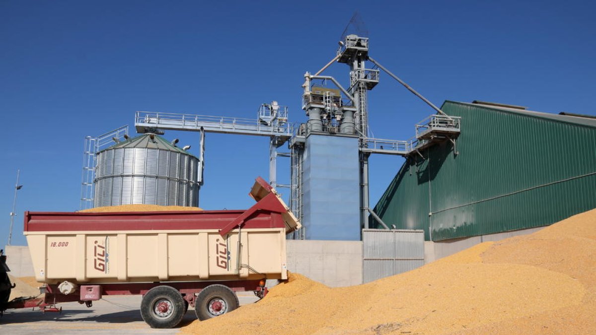 Las cooperativas agrarias piden medidas para reducir la factura energética y evitar el encarecimiento de los alimentos