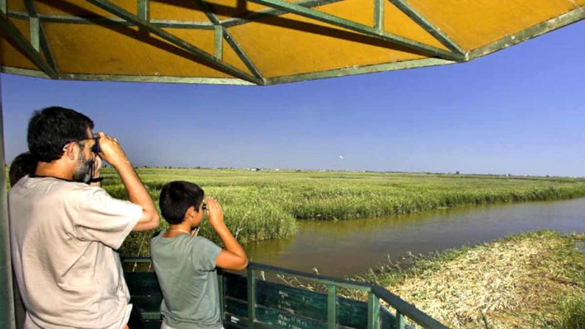 Lleida, Terres de l'Ebre, comarques Centrals i de Barcelona es recuperaran abans del xoc de la covid