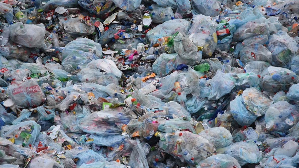 Una empresa chilena crea bolsas de plástico que se disuelven en el agua y no contaminan