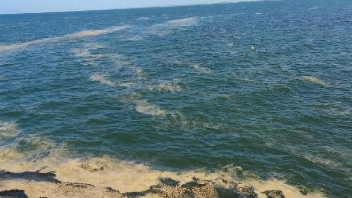 La ACA alerta de la presencia de espumas en la costa de Tarragona