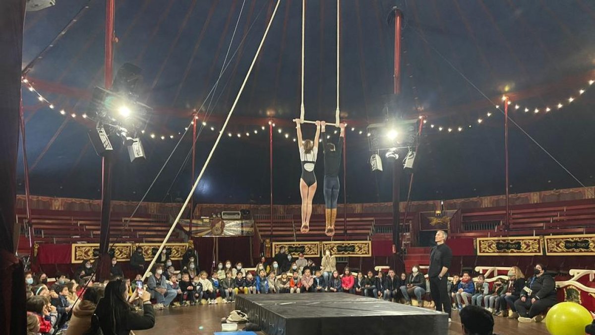 Un passeig pel cor del Circ Raluy Legacy