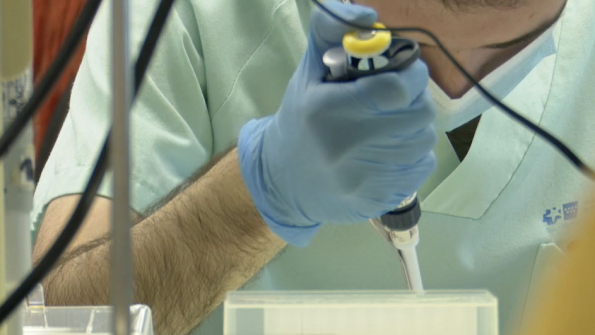 Un tractament experimental aconsegueix curar el lupus a cinc pacients