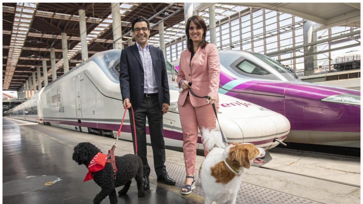 Prova pilot per viajar amb gossos en AVE entre Madrid i Barcelona