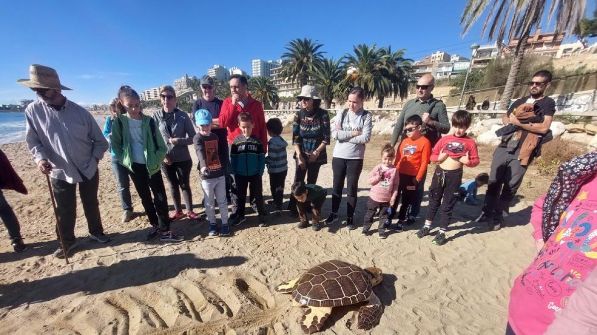 Los niños aprenden por qué vienen las tortugas a la playa del Miracle