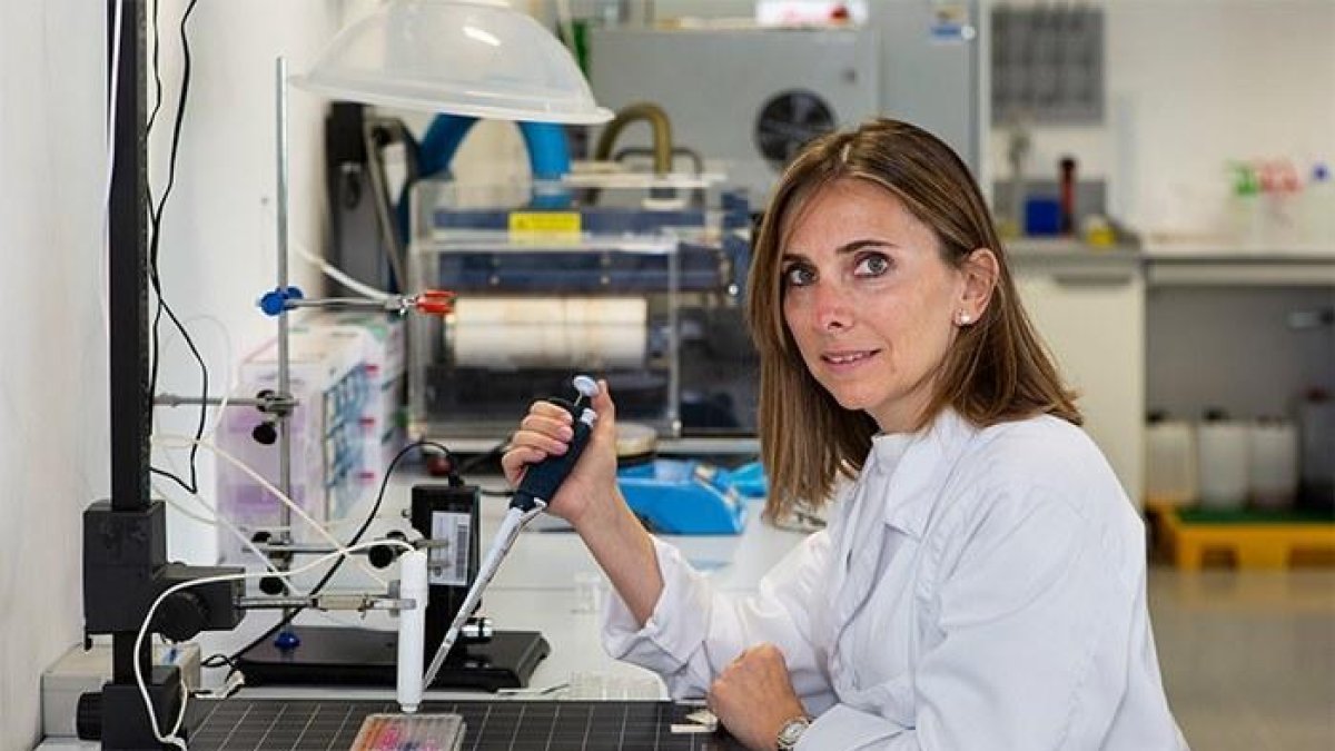 La UPC lidera la recerca del tractament amb gas plasma contra el càncer