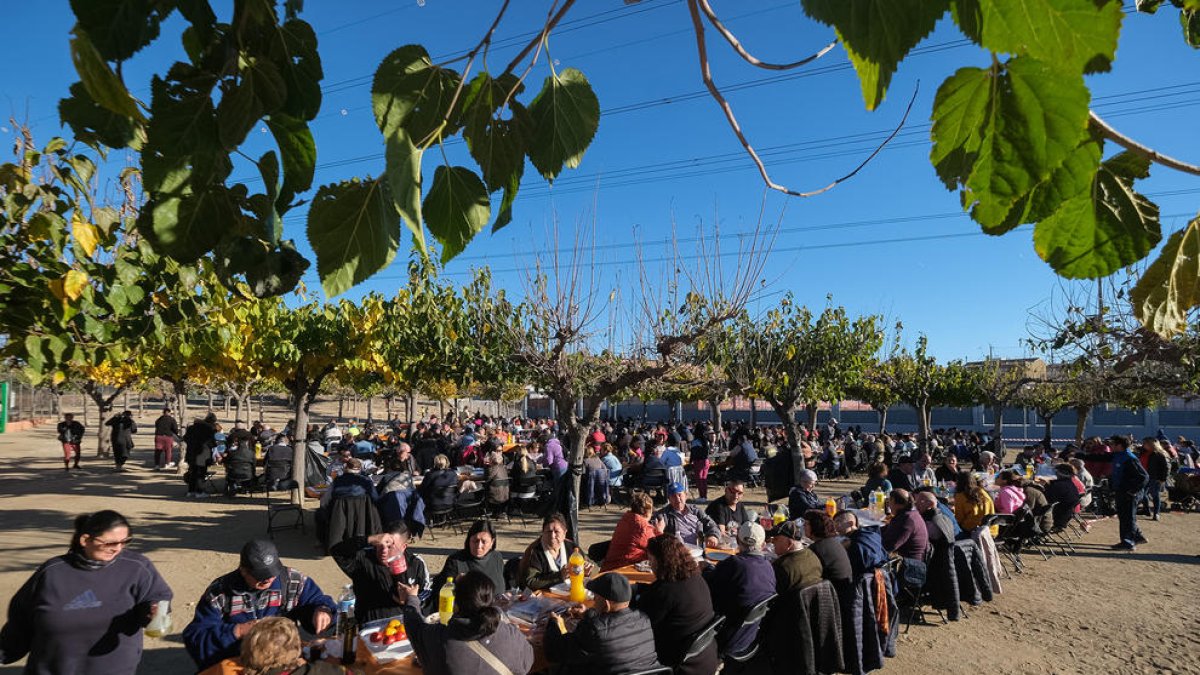 La Pobla recupera la Festa de l'Oli Nou