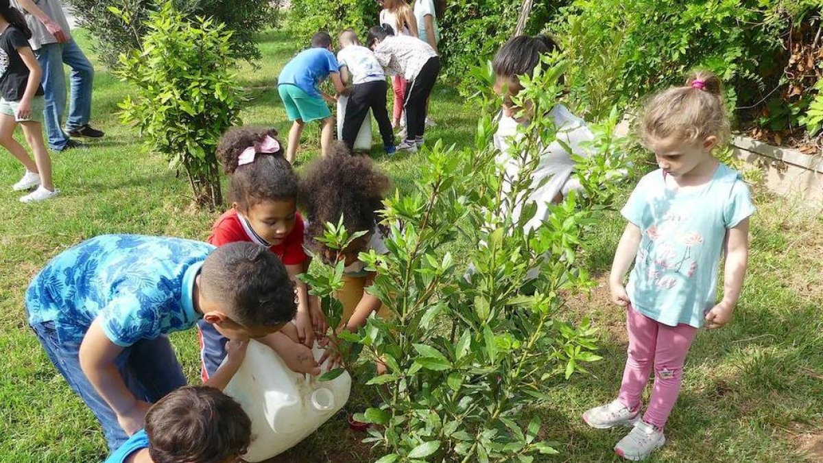 Alumnes de Salou planten quatre llorers al Camí Vell de la Torre