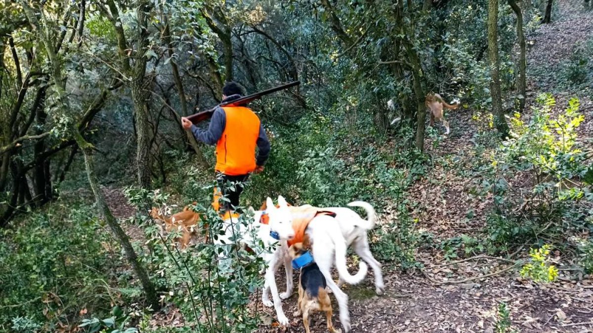 La província de Tarragona acumula un total de 27.460 llicències d'arma