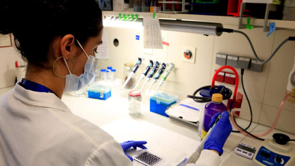 Demostren l'eficàcia d'un fàrmac per evitar la metàstasi en dos càncers infantils i el de mama