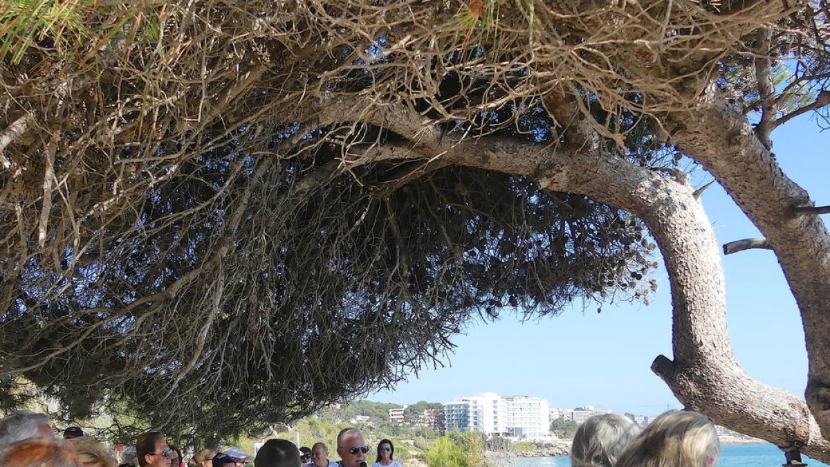 Personas mayores de Salou visitan la futura ruta de los Miradores en buena parte del Camino de Ronda