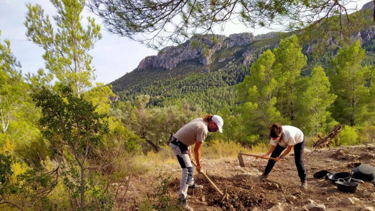 Els arqueòlegs estimen que el jaciment dels Malladarets d'Alfara de Carles és de «grans dimensions»