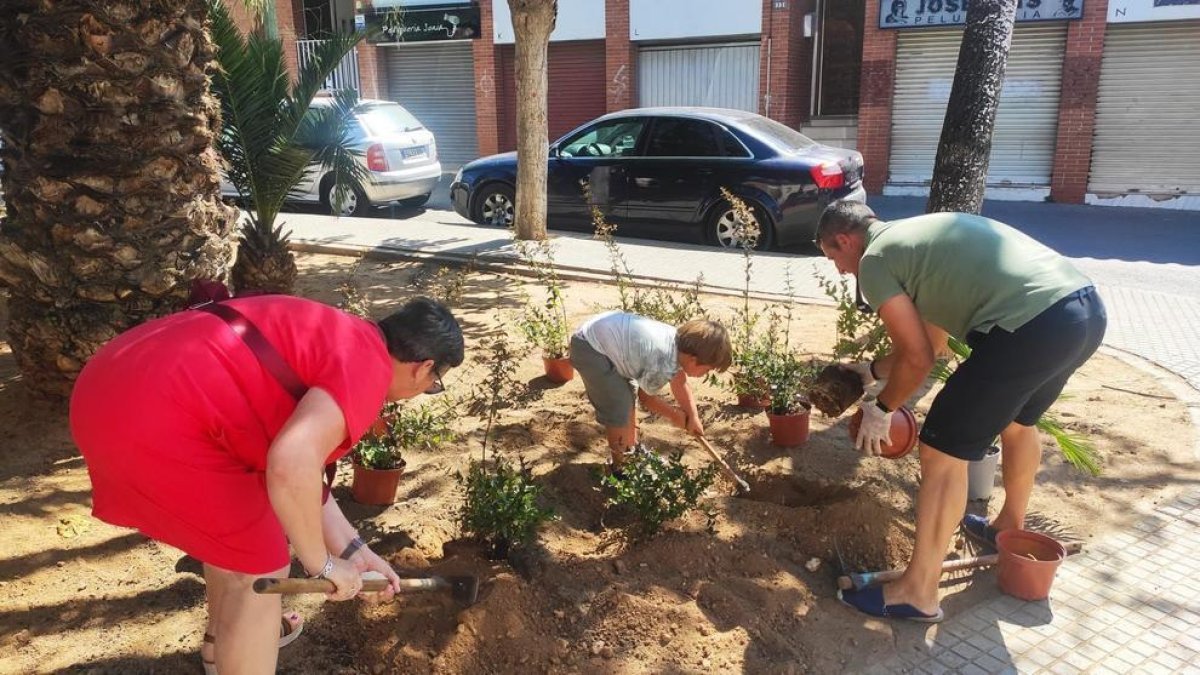 SPiSP i la plaça dels Infants, propers escenaris de les plantades col·laboratives