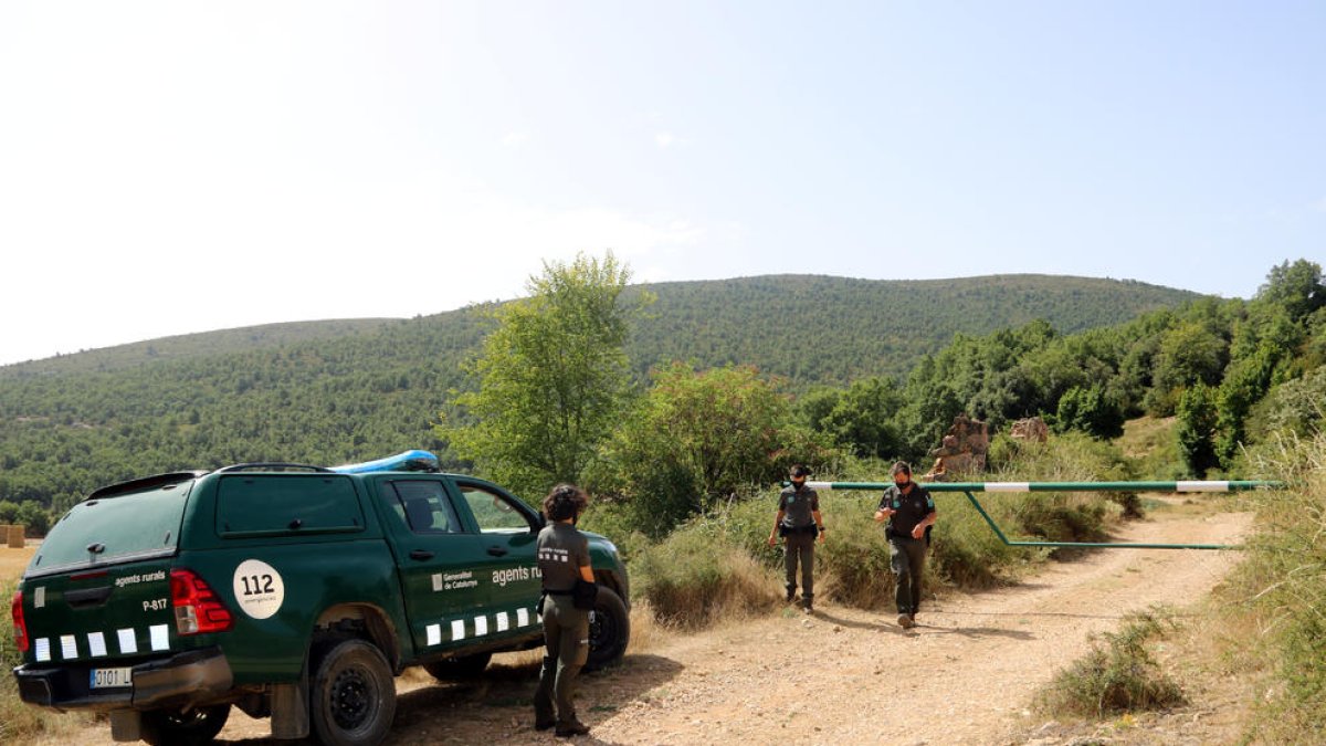 L'Alt Camp, la Conca i el Priorat, en nivell dos sobre tres per perill d'incendi