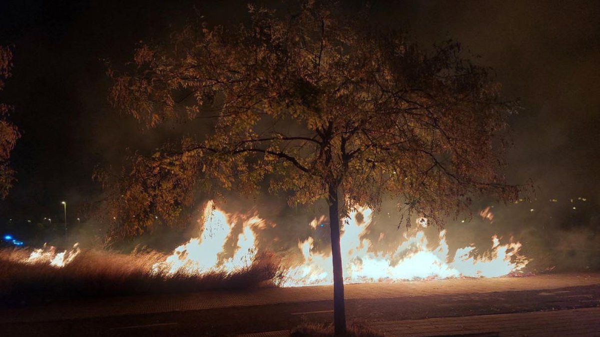 Cremen 50 metres quadrats de vegetació a una parcel·la del Vendrell