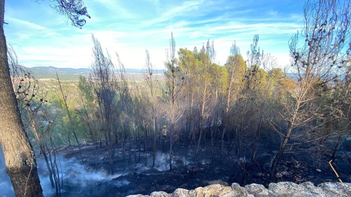 Extingit un incendi de vegetació a una parcel·la a l'Albiol