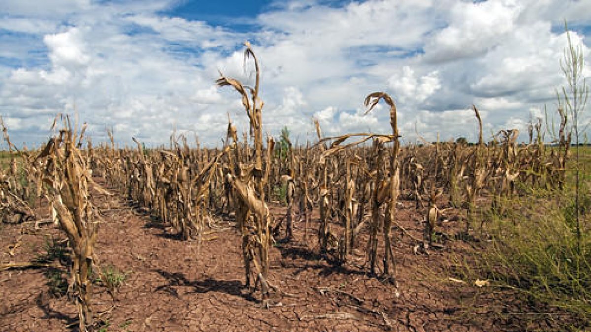 A Andalussia i Catalunya és on hi ha més territori en risc de desertització a l'Estat