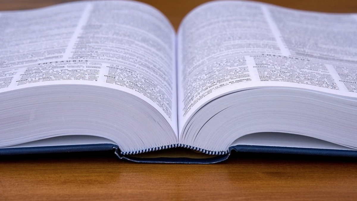 'Negacionisme', 'femincidi', 'trans' o 'resilient', noves paraules del diccionari de la llengua catalana