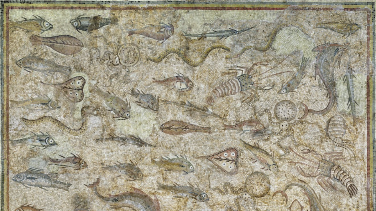 El MNAT restaurarà dos mosaics històrics del patrimoni romà tarragoní