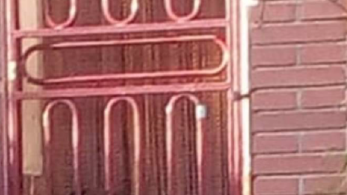 Piden ayuda para rescatar un perro atrapado entre dos puertas de un inmueble.