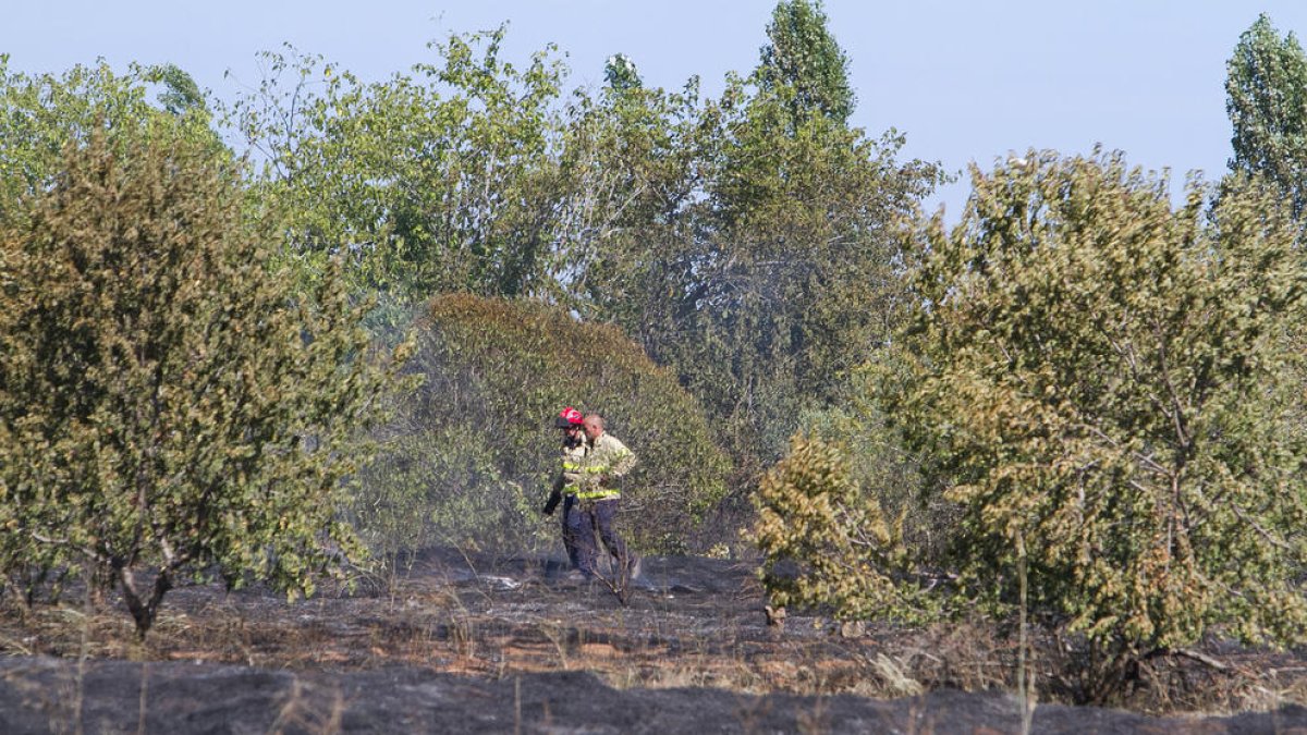 Los terrenos en torno al Tecnoparque sufren el tercer fuego en una semana