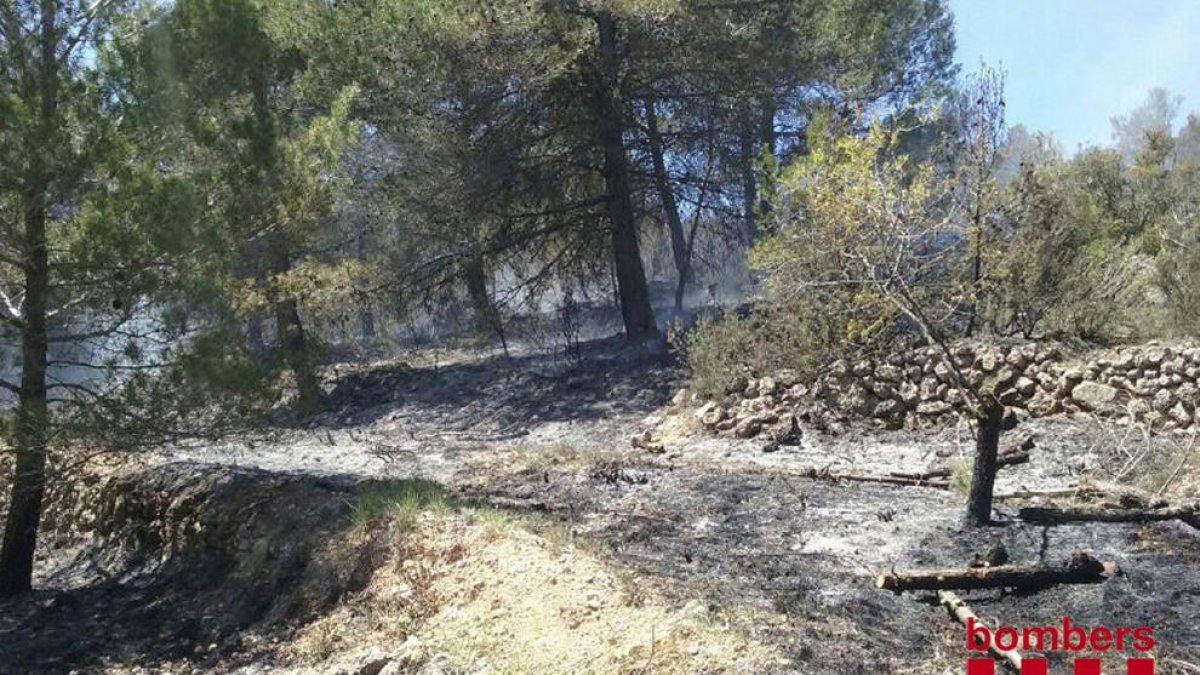 cornudella incendi