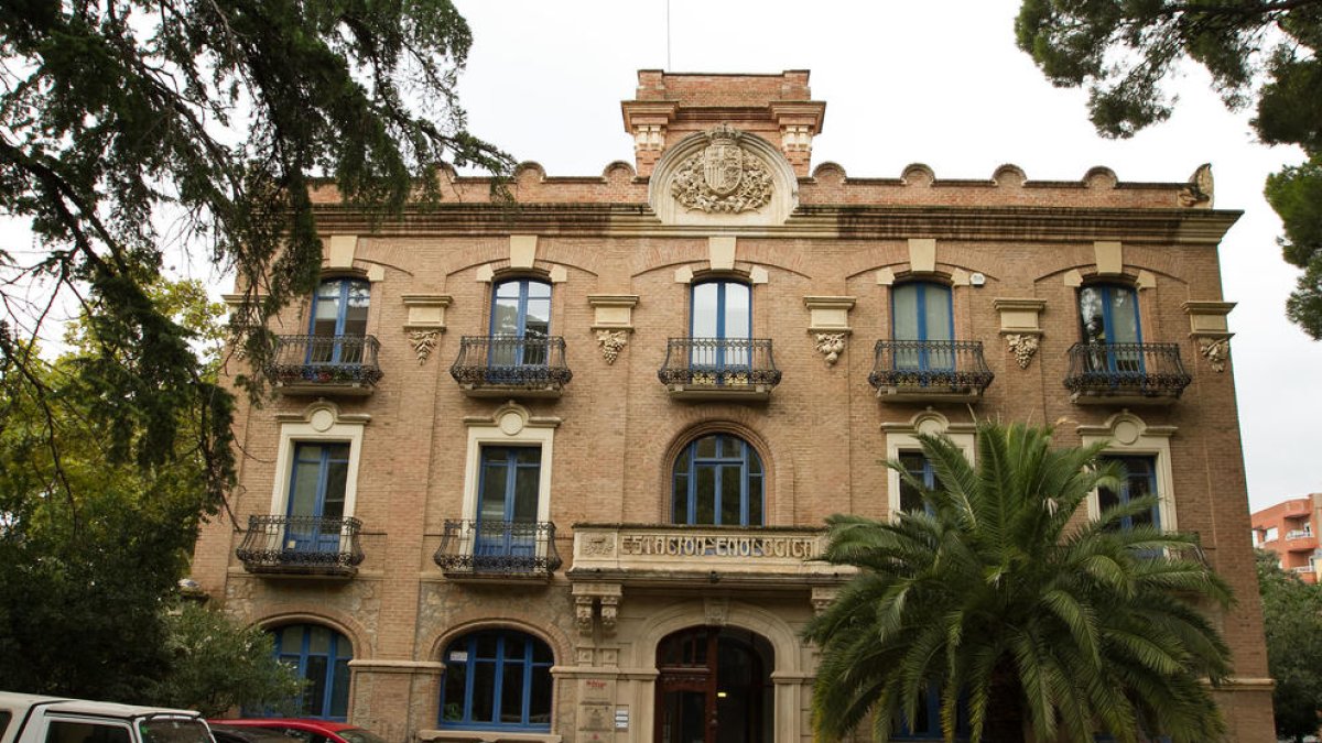 Reus viurà un brunch electrònic