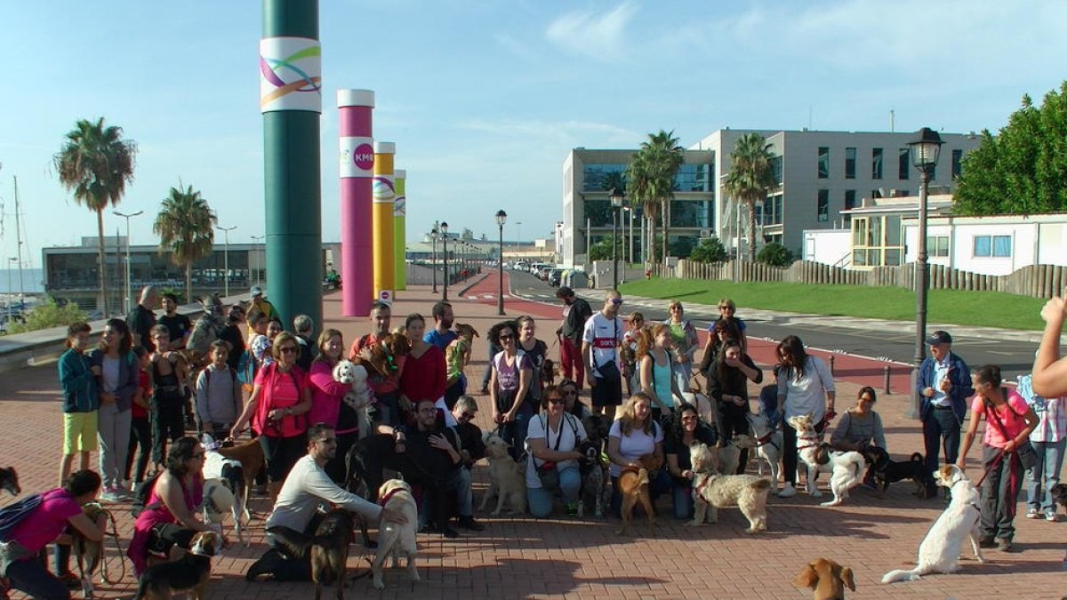 Una treintena de perros pasean por la costa tarraconense