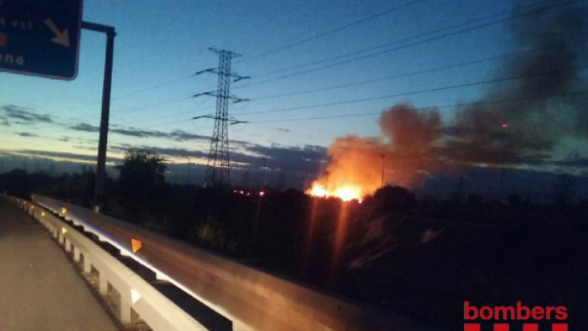Un incendi crema matolls i canyes al polígon Mas Sunyer de Reus