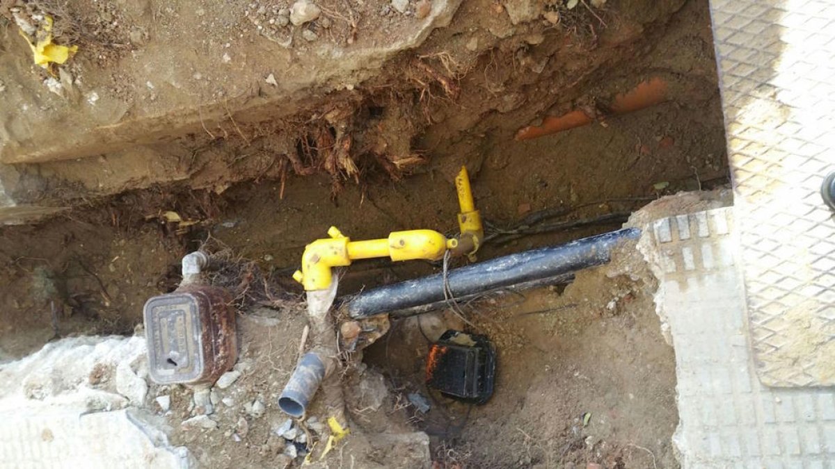 Los vecinos de Mas Abelló alertan de los peligros del arbolado en sus viviendas